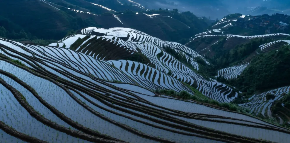 Рисовые террасы лунцзи
