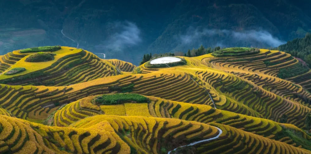 рисовым террасам Лунцзи