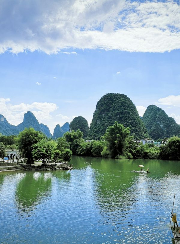 green trees near lake under blue sky during daytime