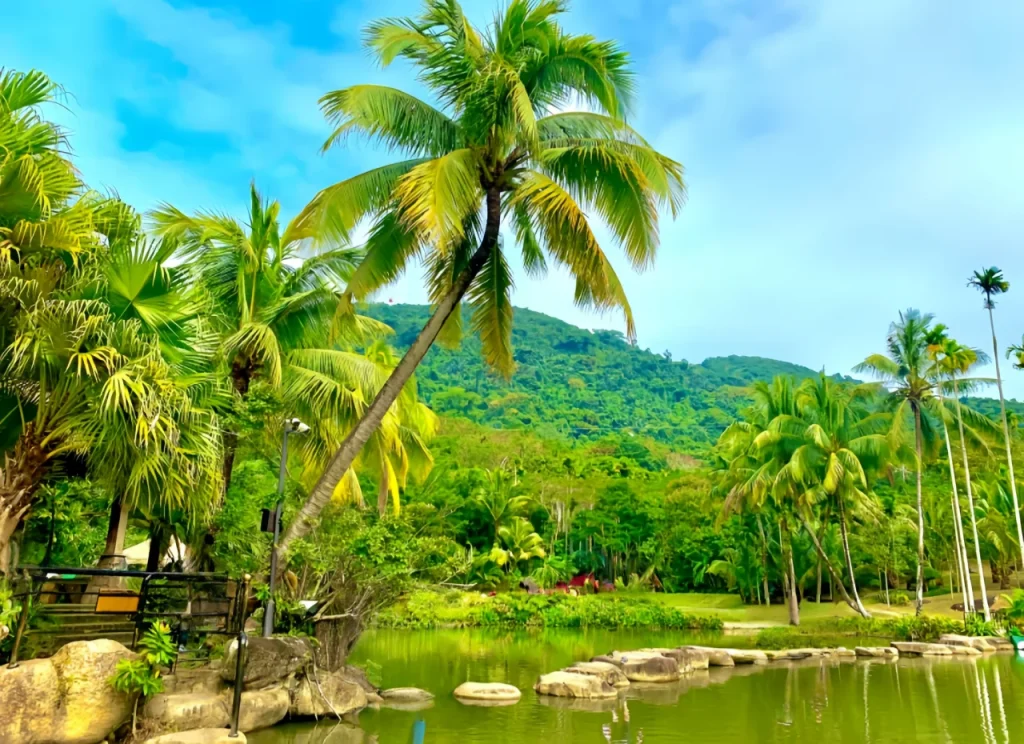 Тропический лес Януода