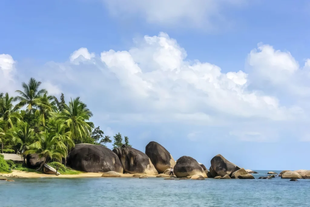 Тянья Хайцзяо