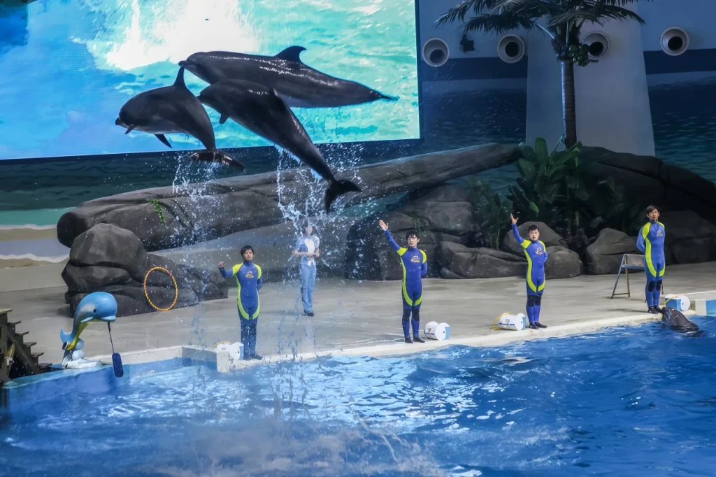 Шоу в океанариуме