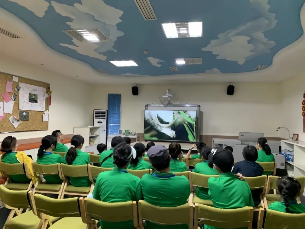 Обучающий курс для волонтеров панд