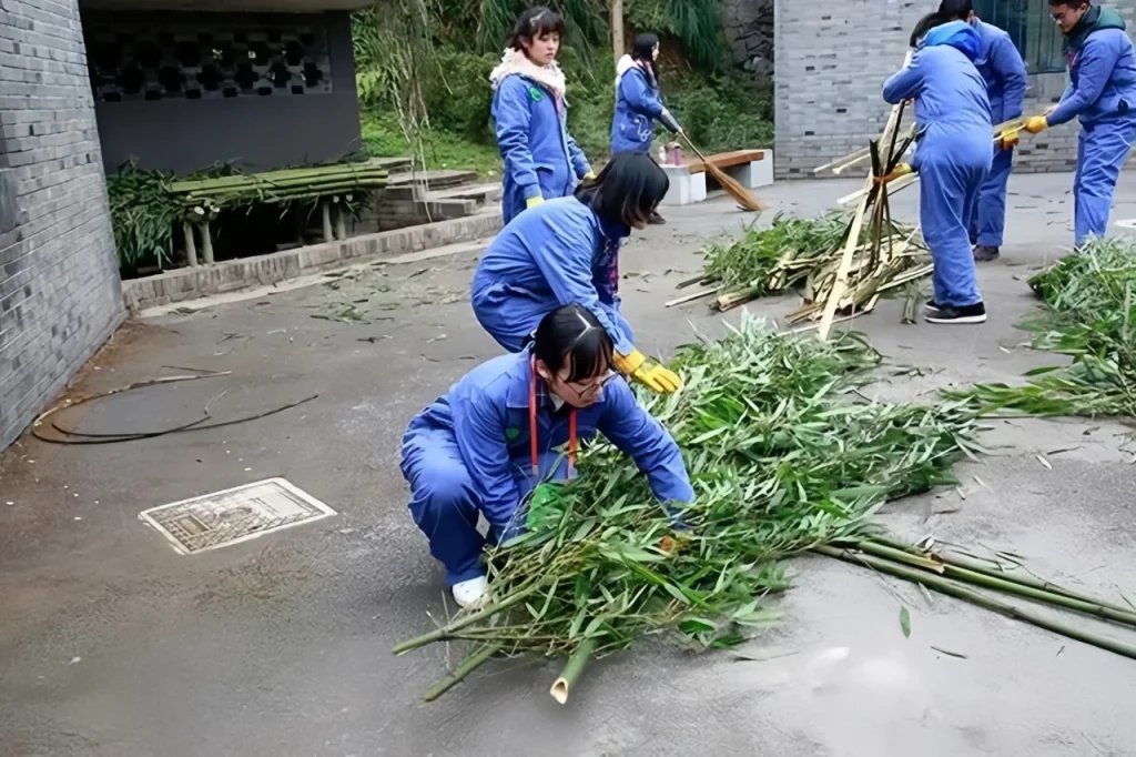 уборке вольеров панд