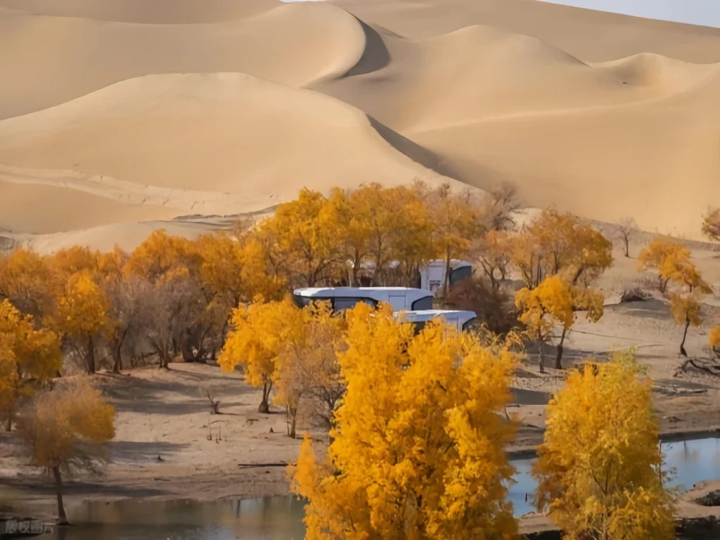 Описания «Дукуйской дороги»