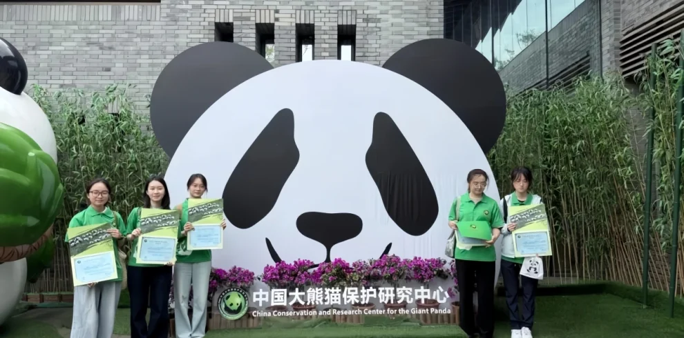 вручение памятного сертификата