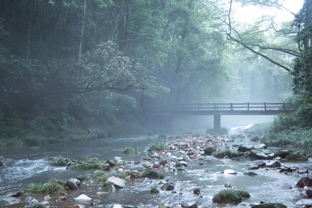 Ручей Золотой кнут