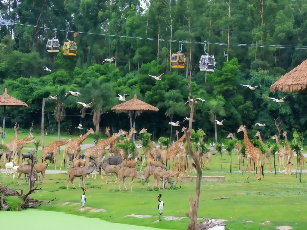 Чимелонг сафари парк