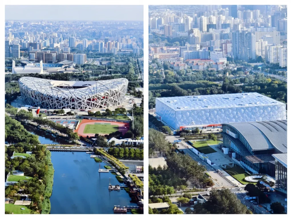 «Птичье гнездо» и «Водного куба»