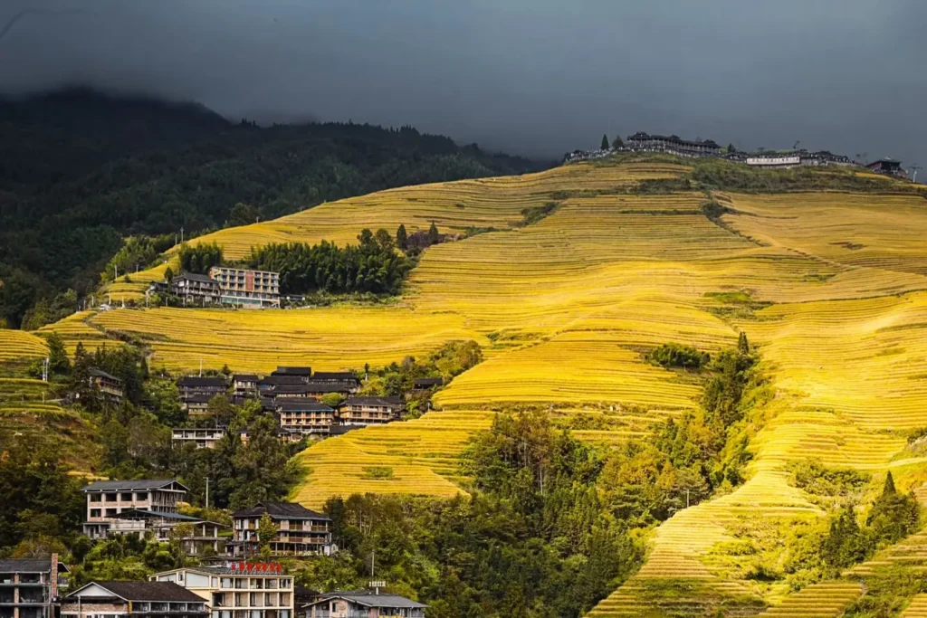 рисовым террасам Лунцзи